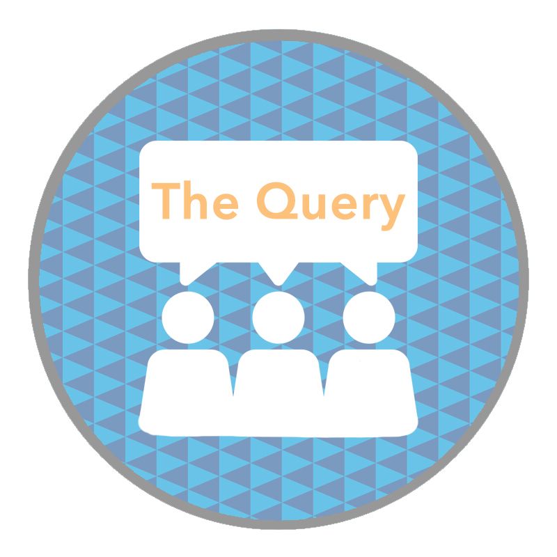 Introducing The Query